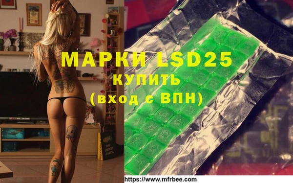 амф Белоозёрский