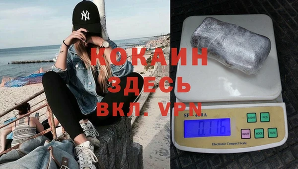дмт Белокуриха
