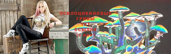 дмт Белокуриха