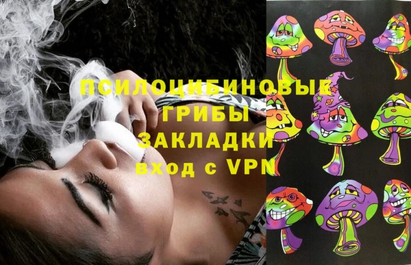 дмт Белокуриха